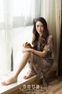 二十不惑在线观看免费完整版 封面