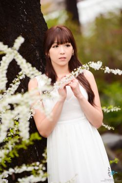 民兵葛二蛋电视剧全集在线观看 封面