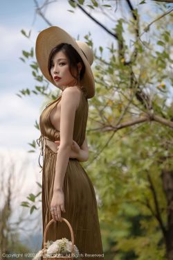 向涟苍骑士献上纯洁 封面