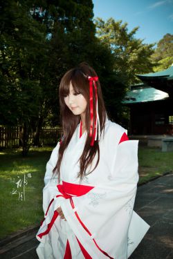 会开花的云是哪个电视剧里的 封面