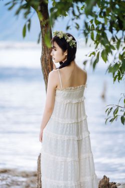 民兵葛二蛋电视剧全集在线观看 封面