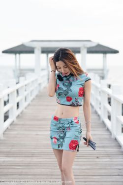 七次郎在线免费视频 封面