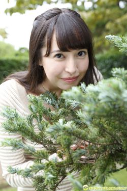 七次郎在线免费视频 封面