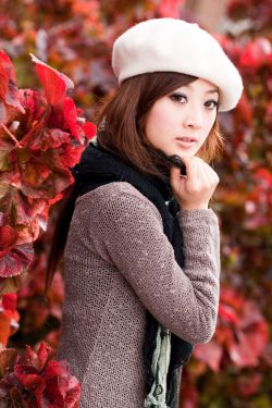 舒淇电影全集 封面