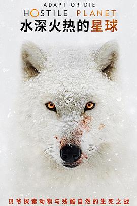 水深火热的星球